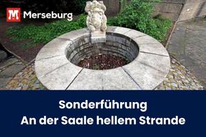 beitragsbild saale