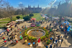 Screenshot 2026 01 16 075635