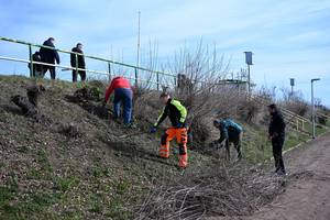 Strauchschnitt am Stadtstadion. (SV Merseburg 99) © Pressestelle DSC 1994