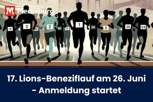 Beitragsbild Lionslauf © Lions / Bearbeitung durch Pressestelle beitragsbild lionslauf