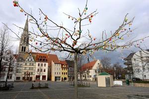 Osteierbaum am Markt