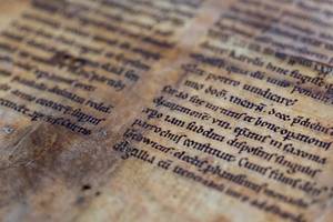 fragment vorderseite detail vereinigte domstifter falko matte