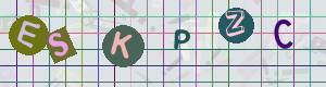 Captcha-Code - Es besteht die Möglichkeit, sich den Captcha-Code vorlesen zu lassen, klicken sie dazu auf den Button mit dem Titel 'Liest den Captcha-Code vor(Audioausgabe)'